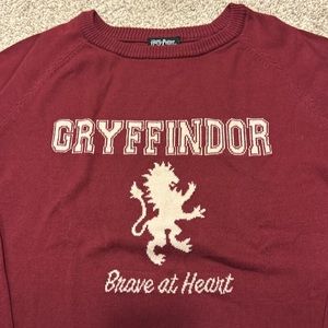 EUC Harry Potter Sweater